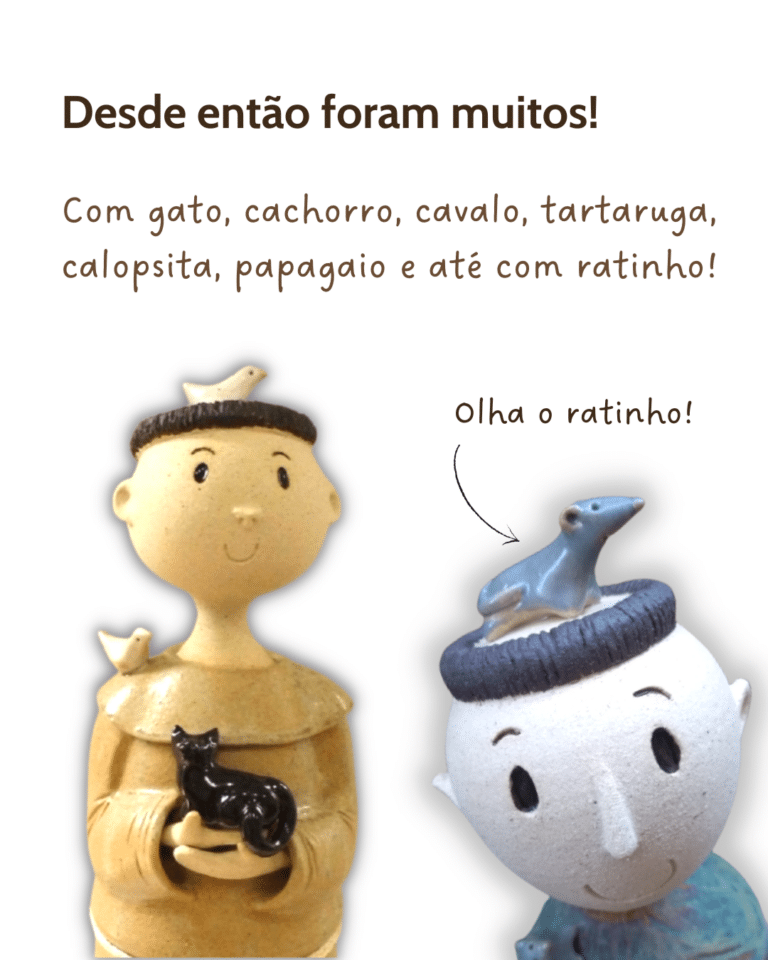 Carrossel3